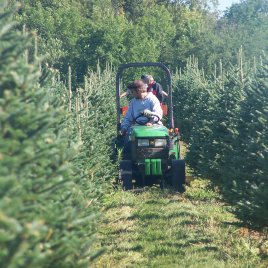 Mowing is a continuous job on a Christmas tree farm.