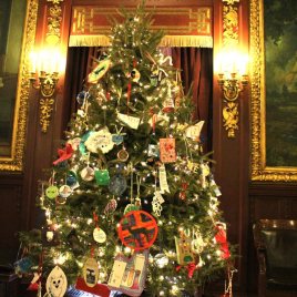 2019 Grand Champion, Yeska Bros. Whispering Pines Tree Farm, donated this tree to the people of Wisconsin, placing it in the Governor's Conference Room.