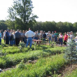 Tree farm tour during a convention.