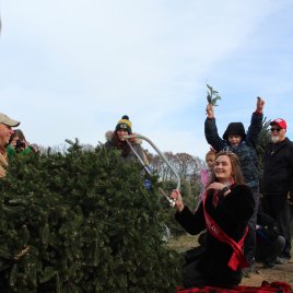 Alice in Dairyland cuts a tree each year to signify the start of the Christmas tree harvest season.